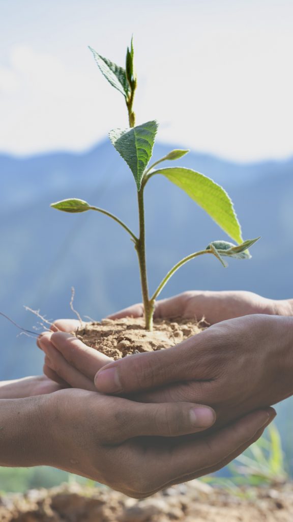 Epargner pour obtenir des revenus complémentaires - 6 raisons d'epargner - COÉOS Groupe