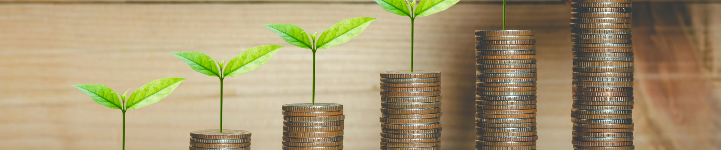 Fonds ESG - Intégrez vos valeurs dans vos décisions d'investissement 2