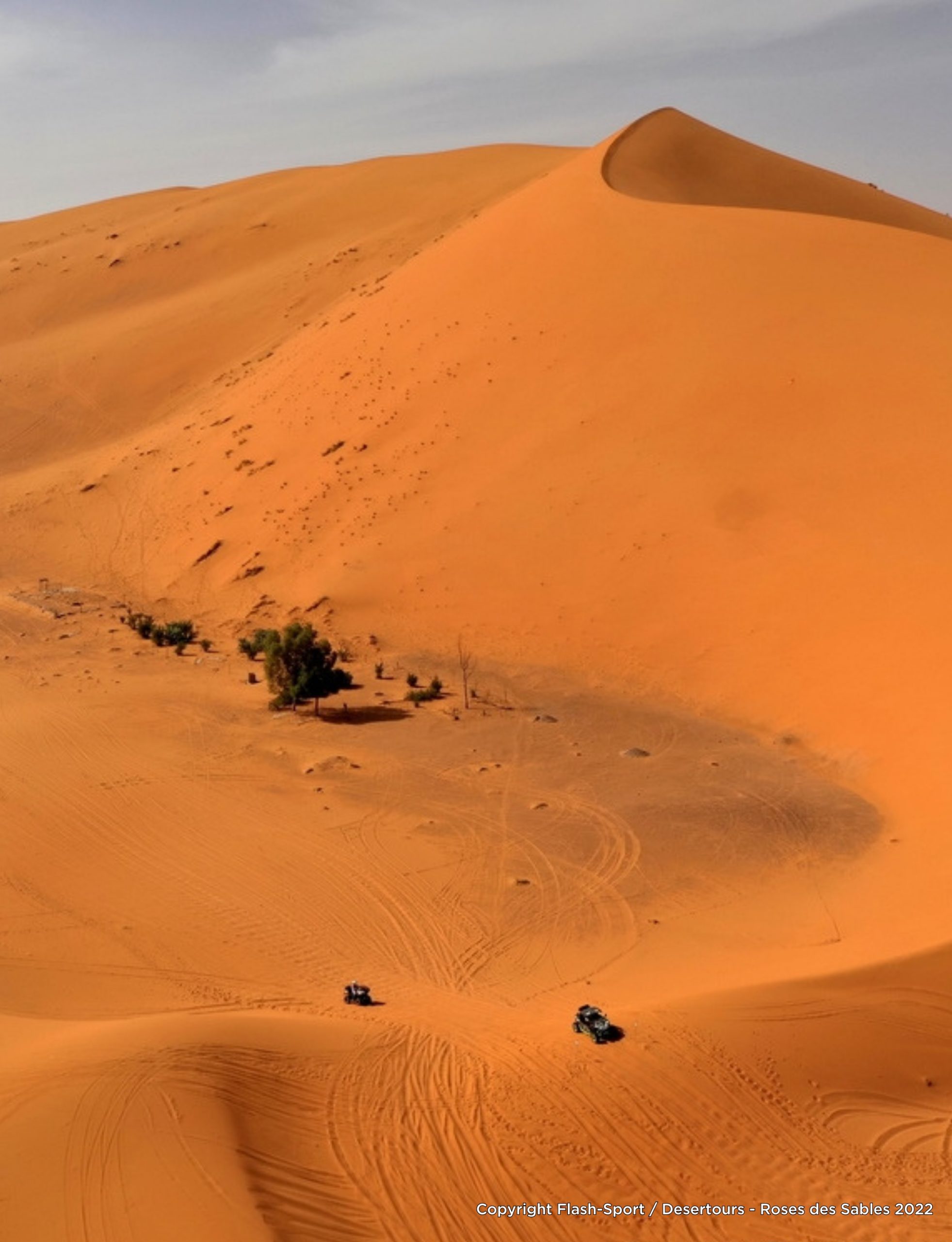 Trophée Roses des Sables 2023 un rallye 100% féminin et humanitaire - COEOS Groupe 2