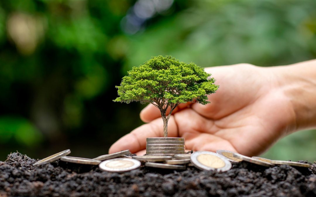 Investissement durable Comment aligner vos investissements avec vos valeurs - COEOS Groupe