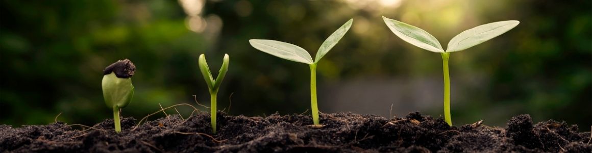 Investissement durable - Comment aligner vos investissements avec vos valeurs - Comprendre l'investissement durable - COEOS Groupe