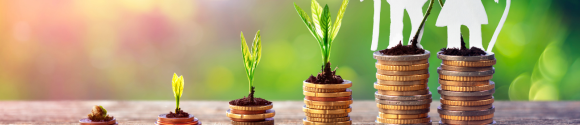 Optimisez la fiscalité de vos revenus 2025 - PER - Coéos Groupe